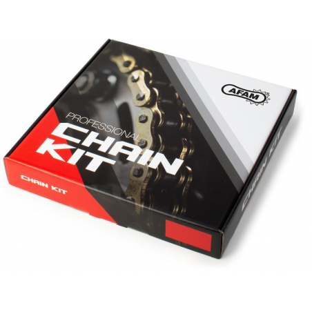 KIT ACIER KAW ZX 10 R 2011-2015 Chaine 520 RACING   