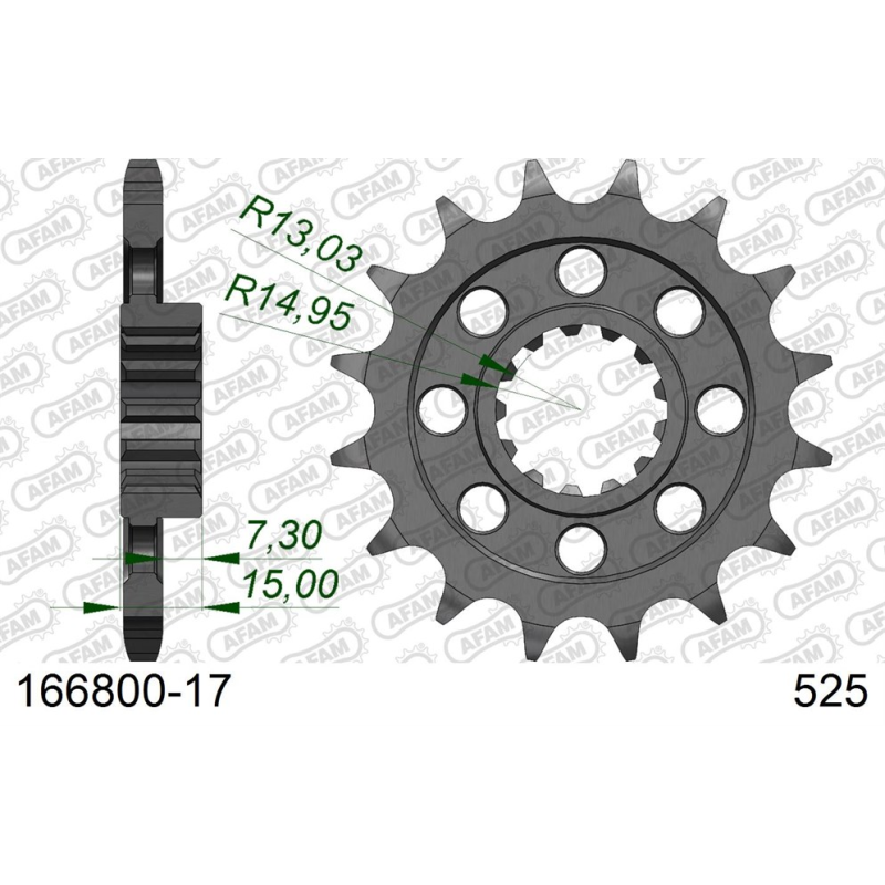 PIGNON #525 BMW S 1000 RR - Afam - 166800-17