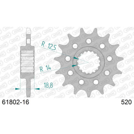 Pignon R RSV4 1000 FACTORY 2009-2010